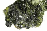 Lustrous, Epidote Crystal Cluster on Actinolite - Pakistan #164842-1